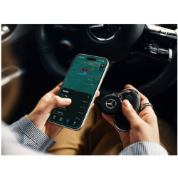  Mercedes-Benz, Chipolo Loop-sporingstag