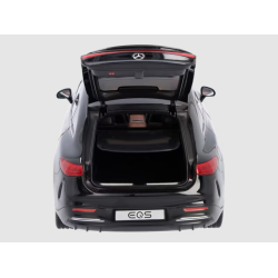 EQS V297 1:18 obsidian sort